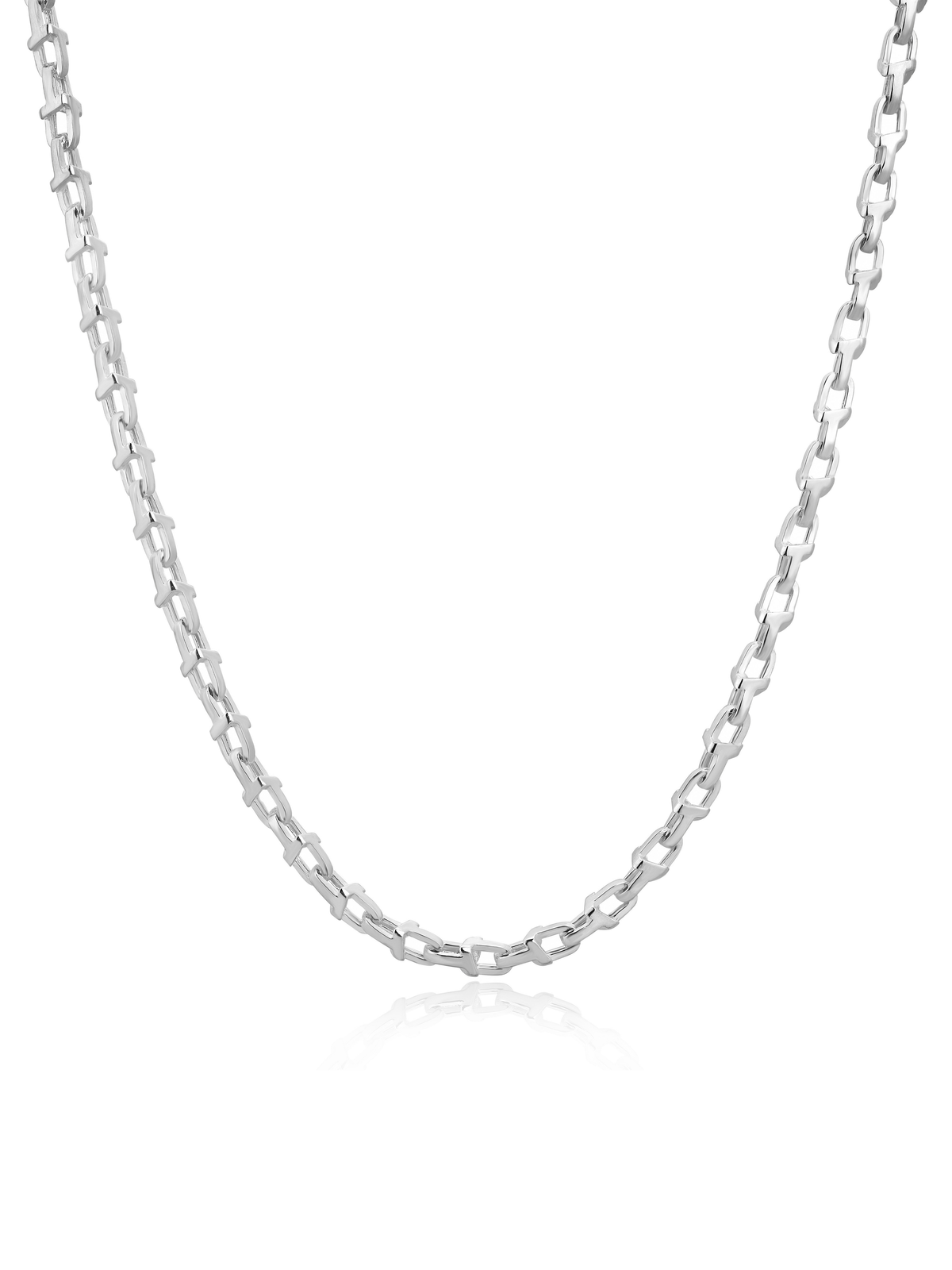 Gümüş Kaplan Charm Shard Kolye